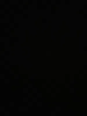 مطلوب قطه كتن أنثى صغيره للتبني