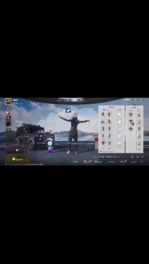 حساب ببجي قوي في نوادر حلوة بسعر مغري