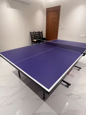 طاولة تنس حجم الومبي