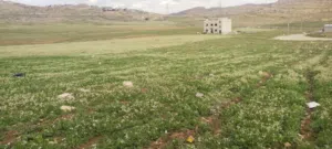 Residential Land for Sale in Zarqa Al Autostrad