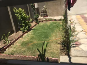 منزل للبيت المستنصرية شارع فلسطين