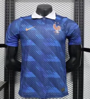 FRANCE HOME KIT FAN VERISON