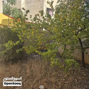 165 m2 3 Bedrooms Apartments for Sale in Amman Al Gardens