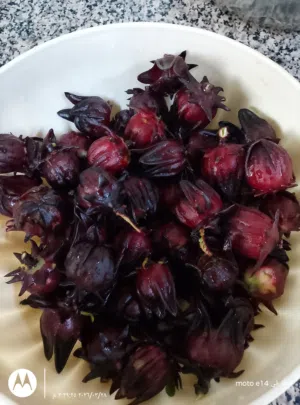 كركديه لذيذ