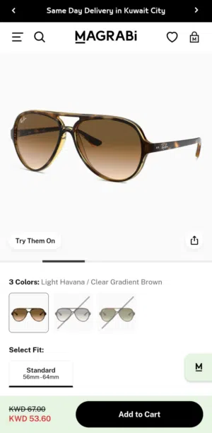 new Ray-Ban sunglasses