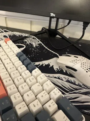 ماوس و كيبورد