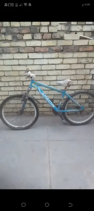 بيسكل للبيع