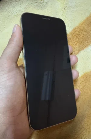 12 Pro Max