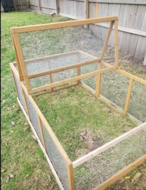 مسرح طيور ولحمامة ودجاج...