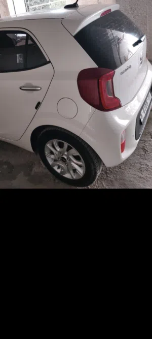 كايا للببع تخلو من القص ترخيص حتى شهر 7 مع تامين