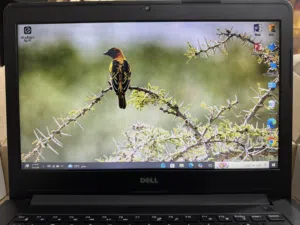 Windows Dell for sale  in Tulkarm