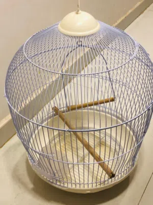 Birds cage