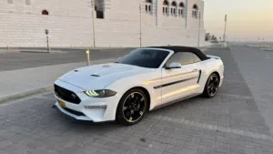 Mustang California Special 2019