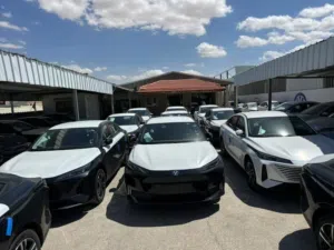 2026 CHANGAN EADO PLUS EV ( FULL ELECTRICITY