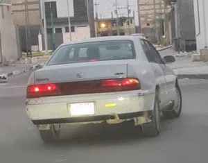 بطة لؤلؤي متصل بصرة