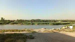 فرصة استثمارية في الدورة ـ البوعيثة قرب السدة بسعر مناسب جداً