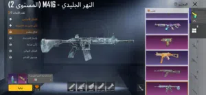 حساب بيجي