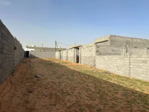 عدد 2استوديوات عظم للبيع