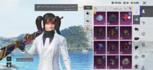 حساب بوبجي منظم منظم