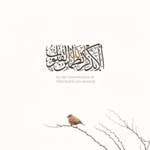 علـيَ  ᥫَ᭡ •° 