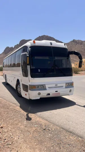 Used Hyundai Other in Al Dakhiliya