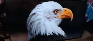 شاشه 55 سامسونج سمارت