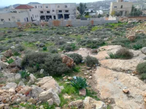 Residential Land for Sale in Hebron Dura