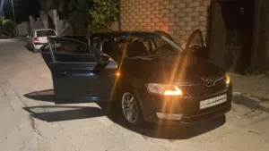 سكودا رابيد 2014