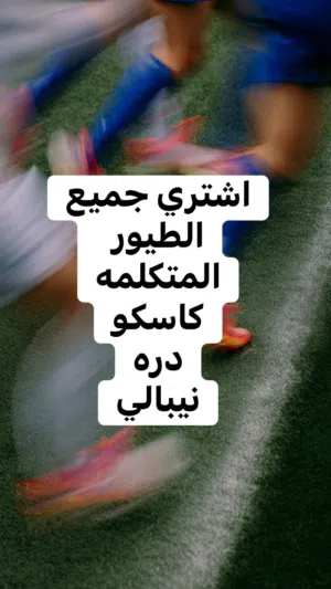 اشتري جميع الطيور المتكلمه دره كاسكو كويكر لوري برانكيت صن كنيور