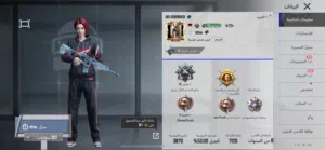 Pubg Accounts and Characters for Sale in Irbid