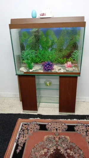 حوض سمك مع طاولة