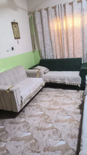تخم تركي 5قطع ستعمال نظيف