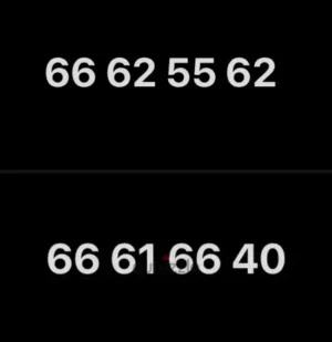 Zain numbers no contract