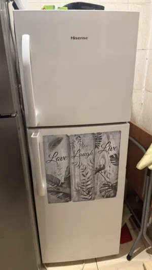 ثلاجة هايسنس