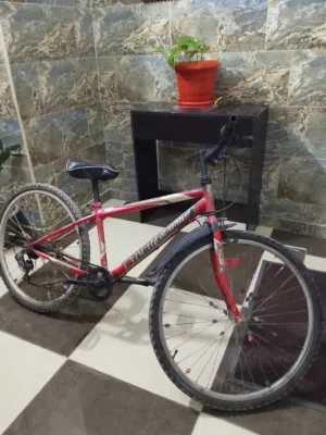 بسكليت للبيع