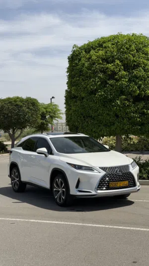 Used Lexus RX in Muscat