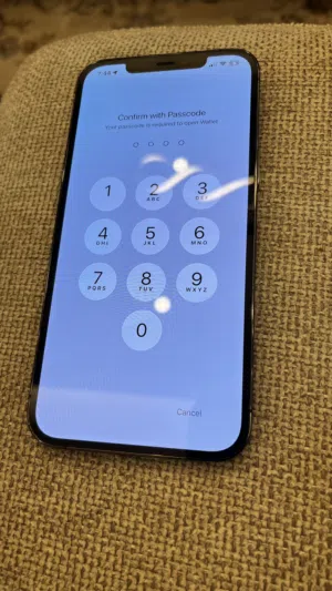 iPhone 12 Pro max
