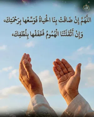 شقه للبيع في اول فيصل