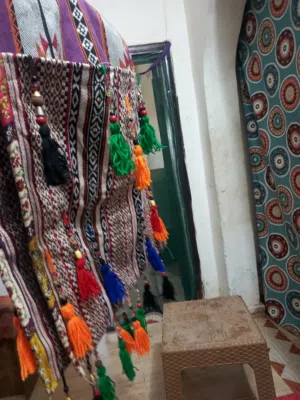 خرج حمار او حصان اشي مرتب مبطن
