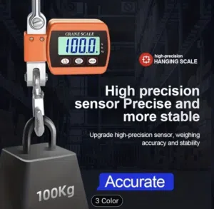 Mini Crane Scale
