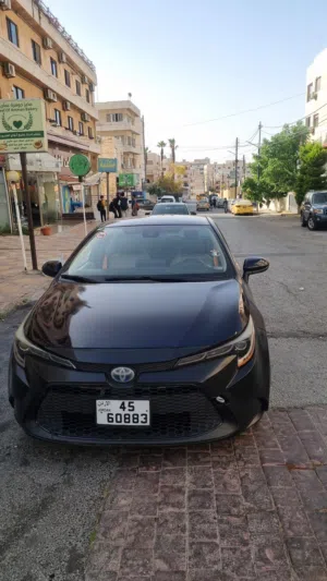 تويوتا كورولا 2020 وارد امريكي