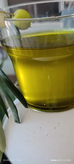 زيت زيتون اصلي مكفول  عصرة اولا مع شهادة منشاء