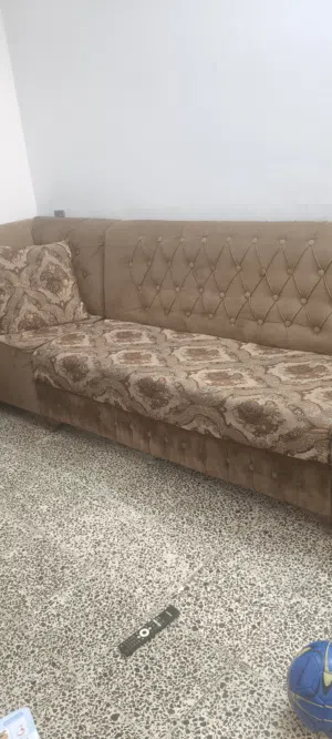 تخم قنفات نضيف جداً