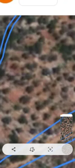 Residential Land for Sale in Ramallah and Al-Bireh Kafr Ein