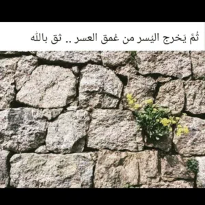 عبدالملك الحكيمي 