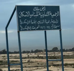 ارض مسجله بالكينج للبيع بسعر مغري