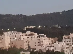 الحمر ... من المالك مباشره