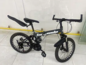 Sport bicycle can go up to 25-30 Km/h