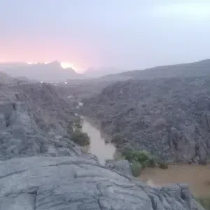 أحمد 