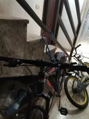 بسكليت للبيع